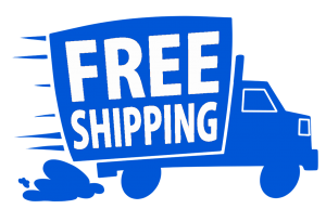 Truck Free Shipping Blue Truck